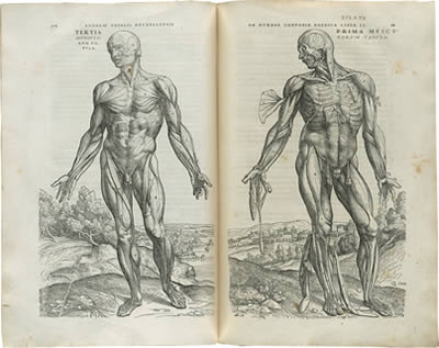 Fig.2 Vesalius, A., page 15 and16